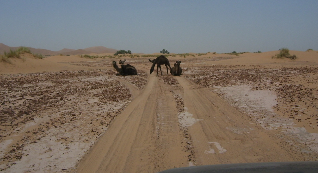 marrakech morocco