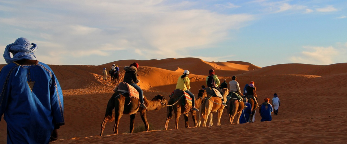 sahara camel ride