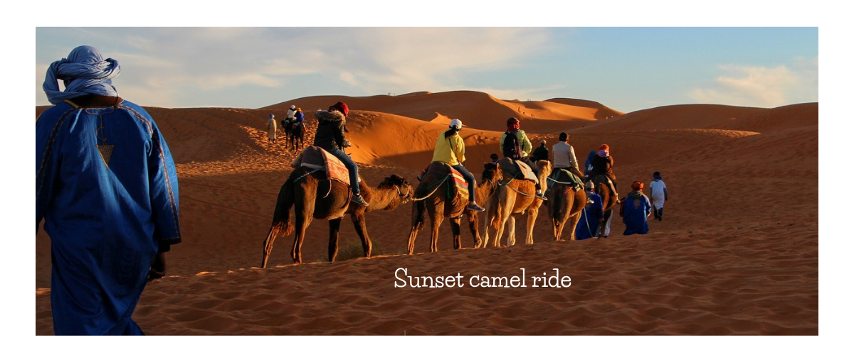 sahara camel ride